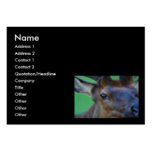 elk business card