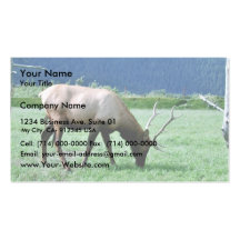 Elk Business Card