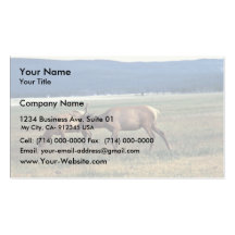 Elk Business Card Template