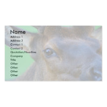elk business cards