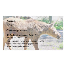 Elk Calf Animal Business Card
