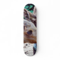 Elk Calves Drinking Custom Skateboard