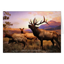 Elk Card