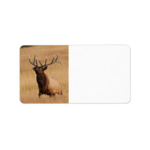 elk charging labels