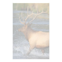 elk customized stationery