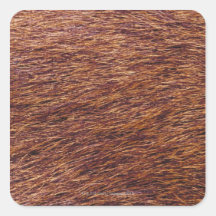 Elk fur square stickers