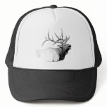 Elk Hat