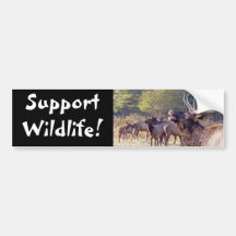Elk Herd Bumper Sticker