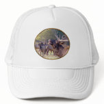 Elk Herd Hat 2