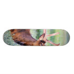 Elk Horns Skate Board Decks