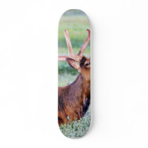 Elk Horns Skate Board Decks