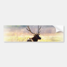 Elk "Looking Back" Bumper Stickers