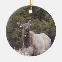 Elk Ornament