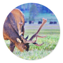 Elk Round Stickers