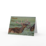 elk Thank You Note Greeting Card