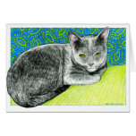 Elle the Korat Cat Card