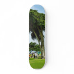 Ellen Browning Scripps Park In La Jolla Skate Board
