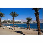 Elliat, Red Sea Photo Sculptures