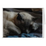 Elliott's Paw Greeting Cards