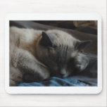 Elliott's Paw Mouse Pad