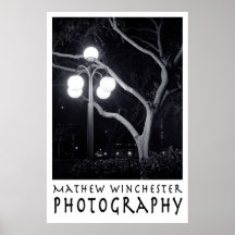 Elm and Lamppost Posters