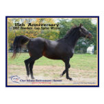 Elmhurst - '97 Breeders' Cup Winner Post Card