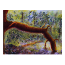 Elora Gorge, Postcard