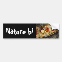 eluding influence bumper sticker