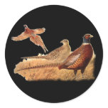 Elusive Pheasant Bird Hunting Stickers