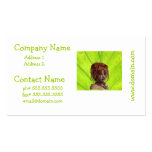 Elven Girl Business Cards