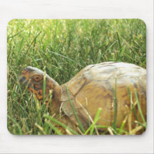 Elvis the Turtle Mouse Pad