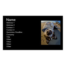 Embarrassing Moment Business Cards