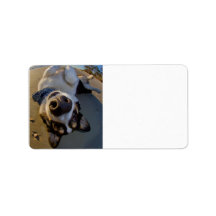 Embarrassing Moment Personalized Address Label
