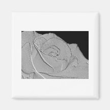Embossed Look Silver Rose 3 Fridge Magnets