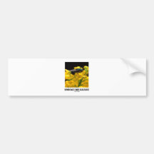 Embrace Bee Culture (Bee On Barberry Flower) Bumper Sticker