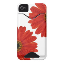 Embrace Happiness Daisies Id Iphone 4 Case