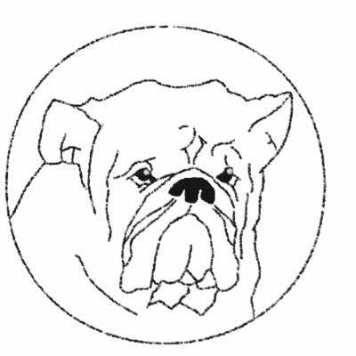 Embroidered Bulldog Women Polo Shirt by superdumb