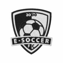 Embroidered E-Soccer Polo