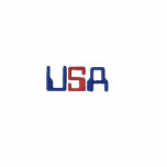 Embroidered Shirt USA