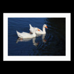Emden Geese (Bordered) business cards