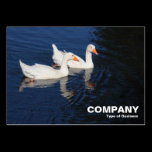Emden Geese business cards