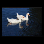 Emden Geese business cards