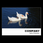 Emden Geese business cards