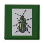 Emerald Beetle Products Magnet