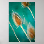Emerald Bokeh Posters