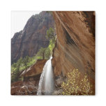 Emerald Pool Falls Magnet