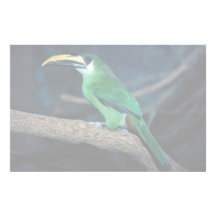 Emerald toucanet, South America Stationery Paper