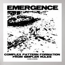 Emergence Complex Pattern Formation From Simpler Poster