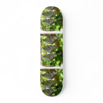 Emerging From Cocoons Skateboards