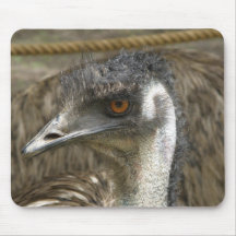 Émeu 2 Australie de Mousepad Tapis De Souris